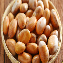 SBJEI-FRESH JACK FRUIT SEED